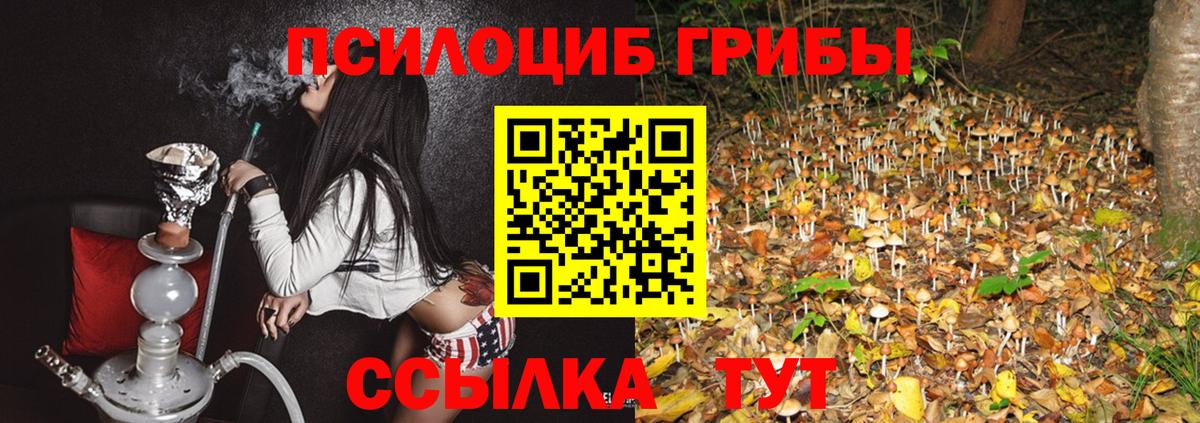 Псилоцибиновые грибы GOLDEN TEACHER Кудрово